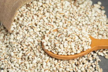 Organic Jowar – Free Whole Millet Grain