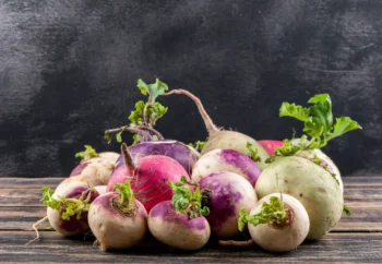 Fresh Organic Radish – Naturally Grown & Crisp